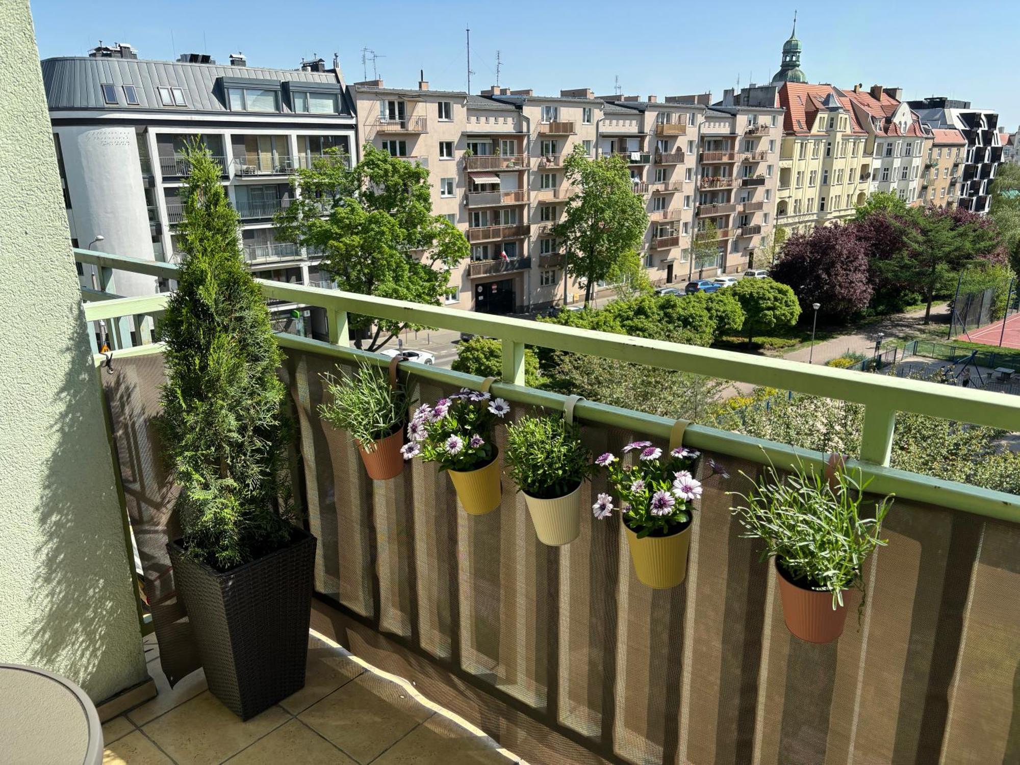 Apartament Wilda Poznań Exterior foto